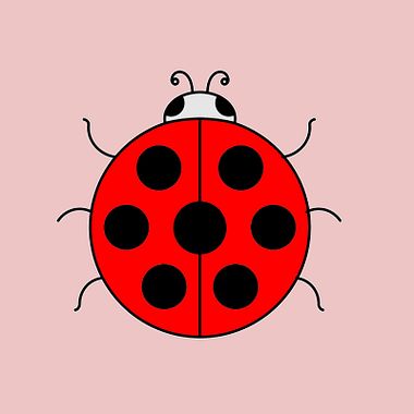 8 animales fáciles de dibujar con tus hijos