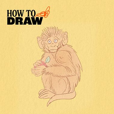 How to Draw A Monkey Step by Step