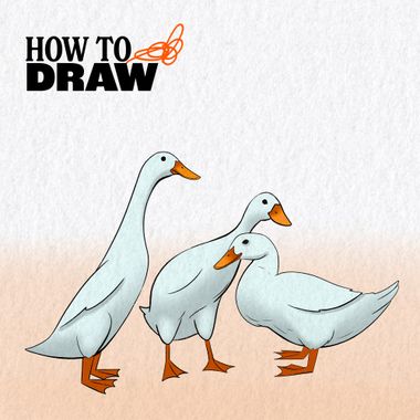 Drawing Tutorial: How To Draw A Duck