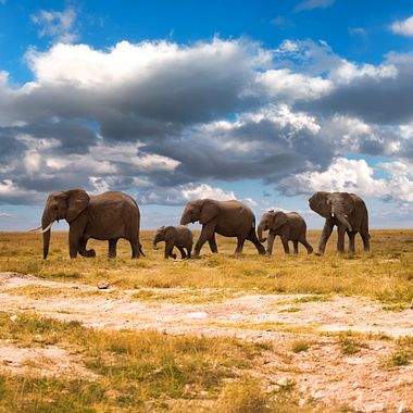 World Photography Day: tips and inspiration for celebrating visual creativity