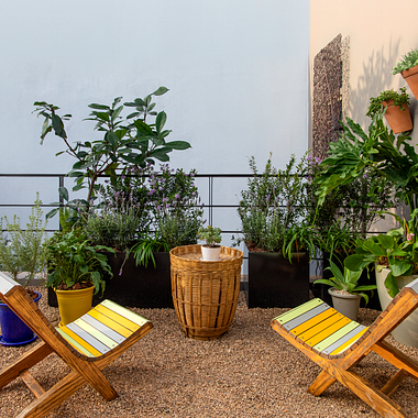 Free download: guide to create your own substrates and care for your plants like a professional