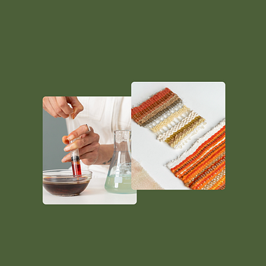 Free download: step-by-step guide to create natural pigments sustainably