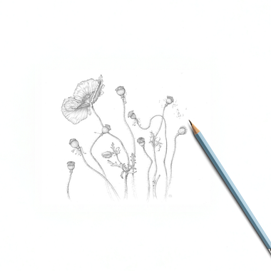 How to Dissect a Flower for Botanical Drawing: A Step-by-Step Guide