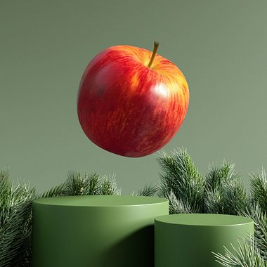 Cómo encontrar inspiración creativa en el entorno cotidiano