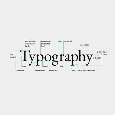Anatomía tipográfica: una guía básica para comprender cada parte de una tipografía.
