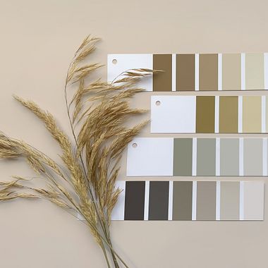 How to Create Color Palettes with a Narrative