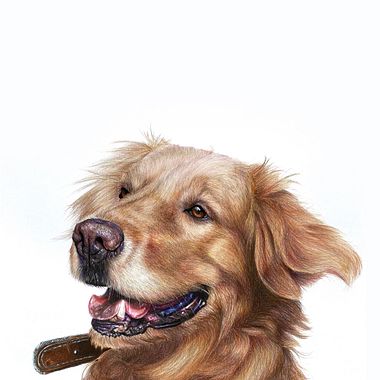 Free Download: Tips for Taking Great Photos for Your Illustrations