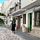 anemona
