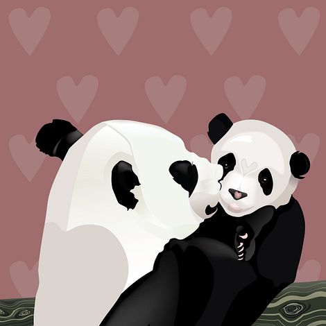 Panda Bears