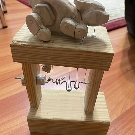 Rabbit Automata