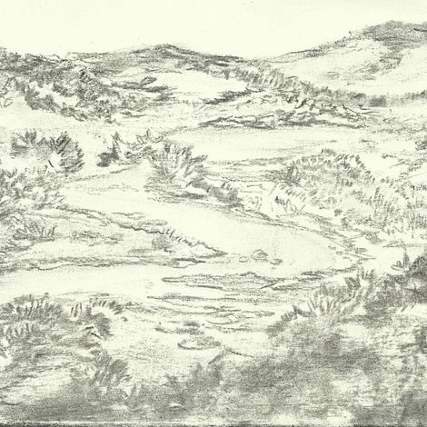 Memories of a river