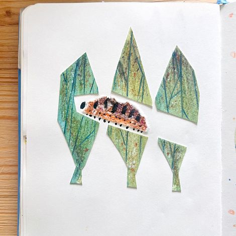 Caterpillar