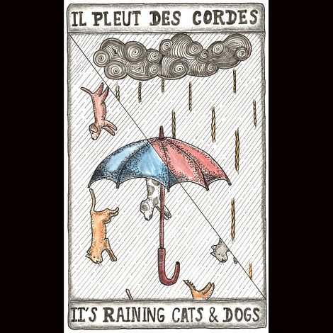 It's raining cats and dogs/ It's raining cats and dogs