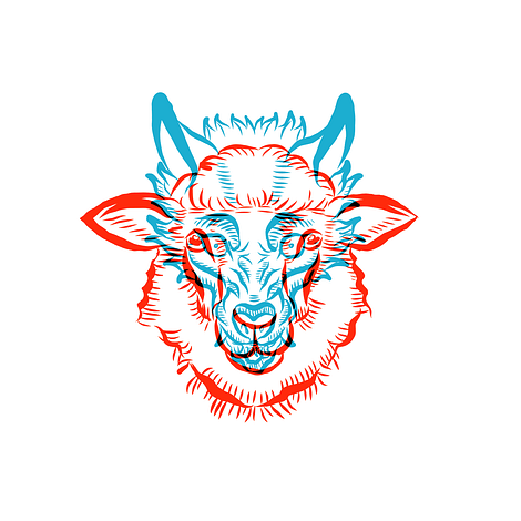 The wolf in sheep's clothing 