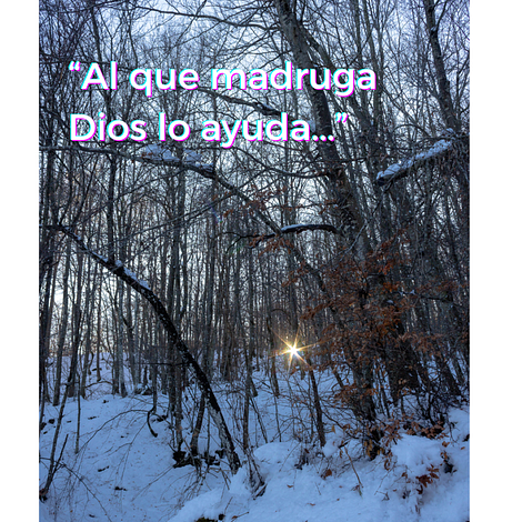 The early bird catches the worm.