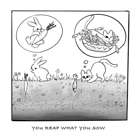 You Reap What You Sow