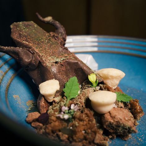 FINDING LIFE IN DEATH