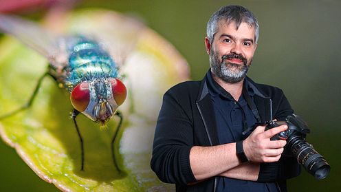 Introduction to Macro Photography