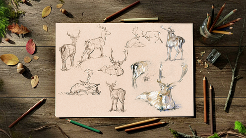 Desen cu animale pentru începători: Creați desene cu animale vii și precise