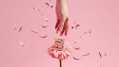 Product Photography Specialization: Lighting, Styling, and Storytelling