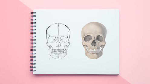 Begeleide cursus: Beheers anatomisch tekenen met slechts één potlood