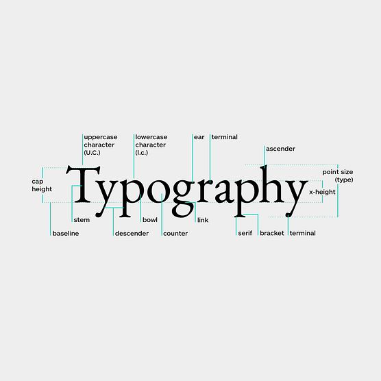 Anatomía tipográfica: una guía básica para comprender cada parte de una tipografía.