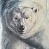 Rachel Colliard