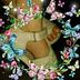 Emilia Calv