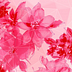 carine_3