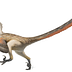 velociraptor_1
