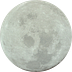 platero_01yyo