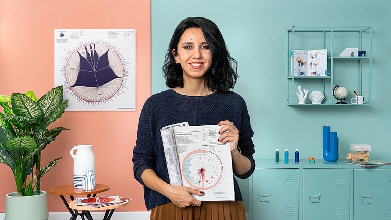 Datenvisualisierung und Informationsdesign: Gestalte ein visuelles Modell