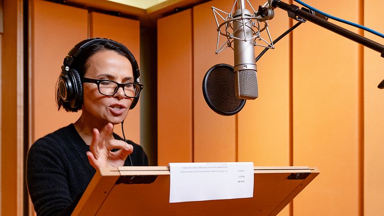 Introduction to Dubbing