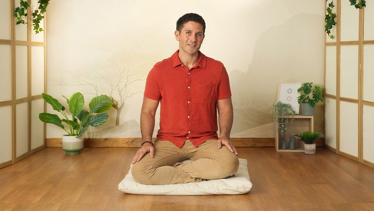 Introdução à Meditação e Mindfulness Diário 