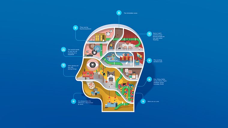 Information Design Specialization for Infographics and Visual Storytelling