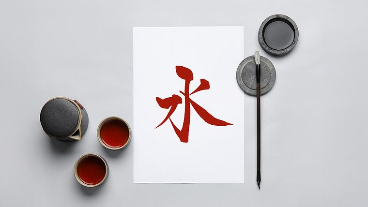 Calligraphy Specialization: Cross-Cultural Techniques and Styles