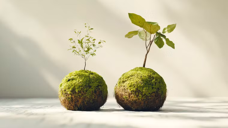 Specialization in Botanical Art Design for Interiors