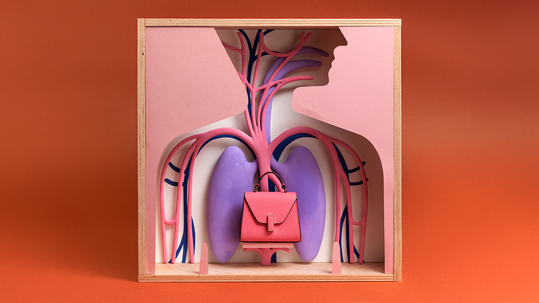 Curso guiado: Estilo e criatividade no design de vitrines
