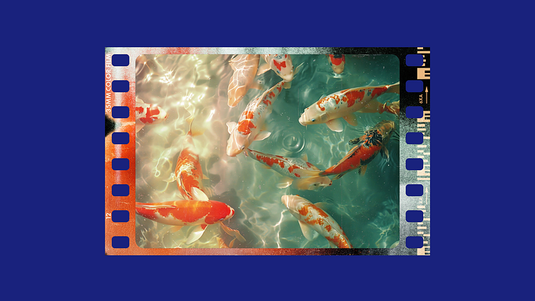 Specialization in Analog Photography