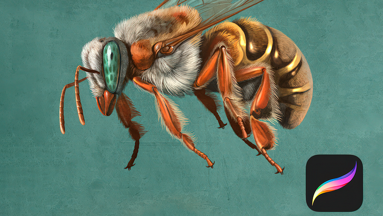 Ilustración naturalista de animales con Procreate