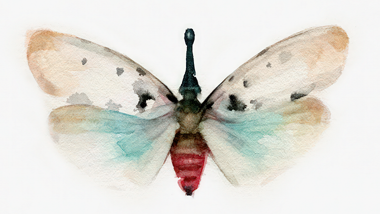 Naturalistisches Tagebuch mit Wasserfarben