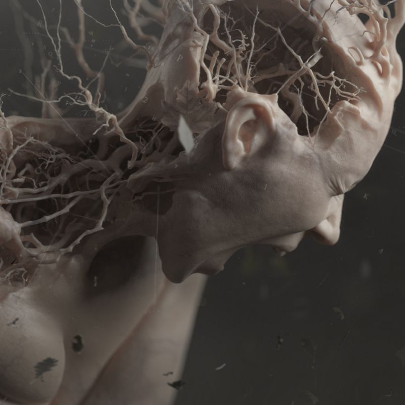 MUSE Main Titles