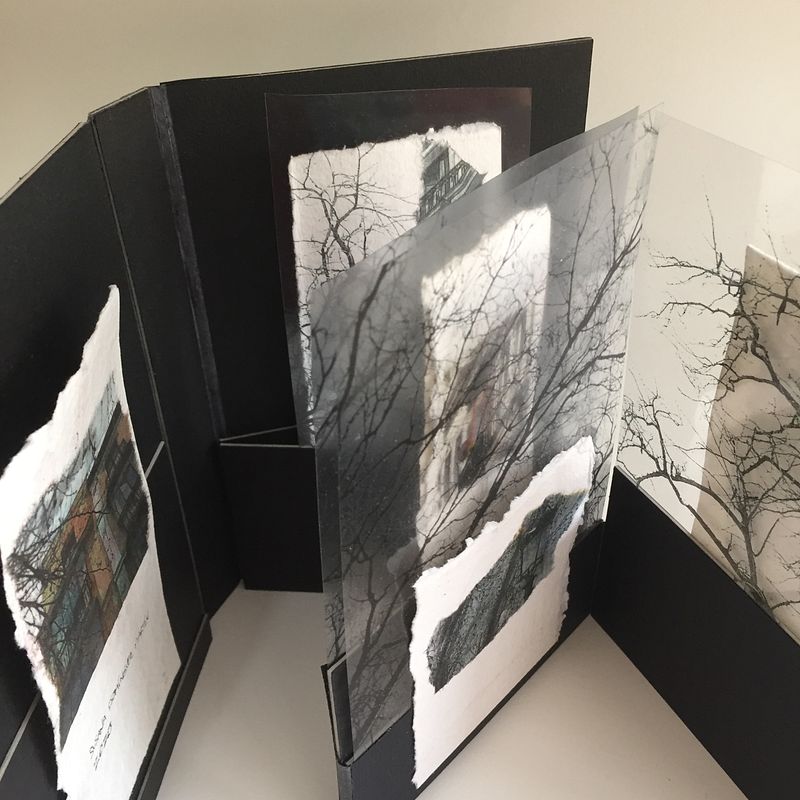 Nuevo proyecto 'Sin pliegues': 'Arboretum' con acetatos