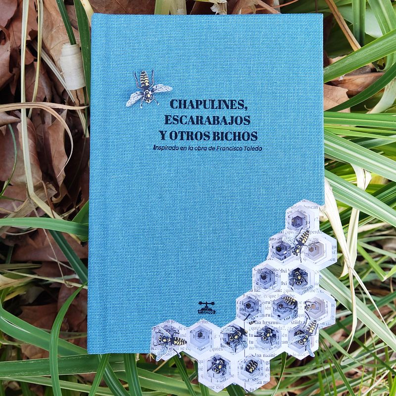 Chapulines, escarabajos y otros bichos - Libro pop up / artista