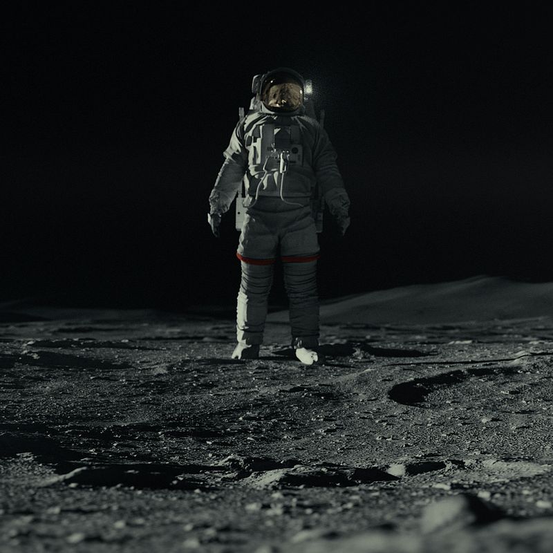 Basecamp Moon