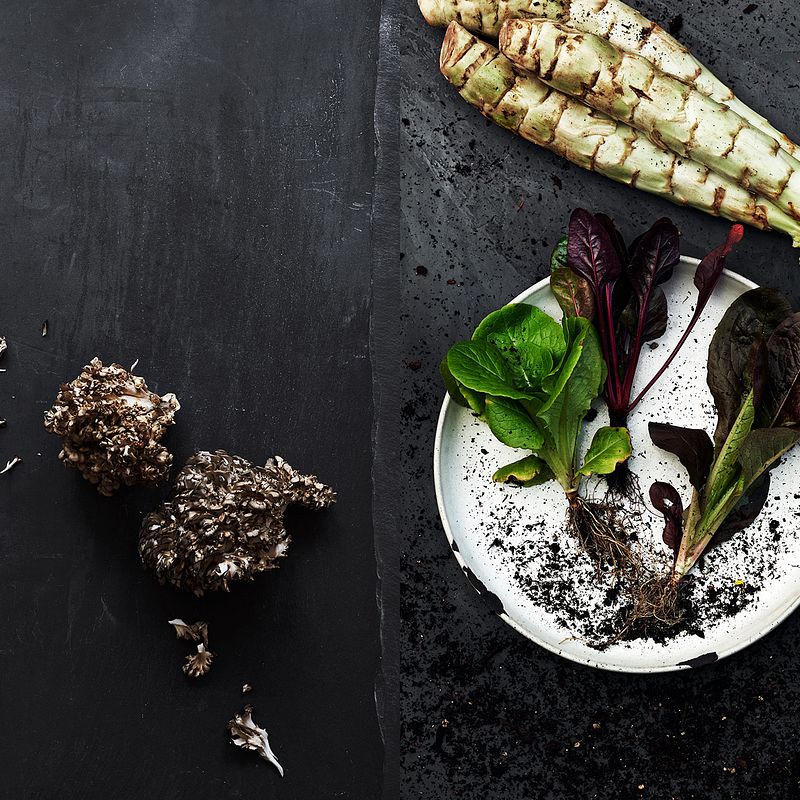 'Plantlab' Cookbook