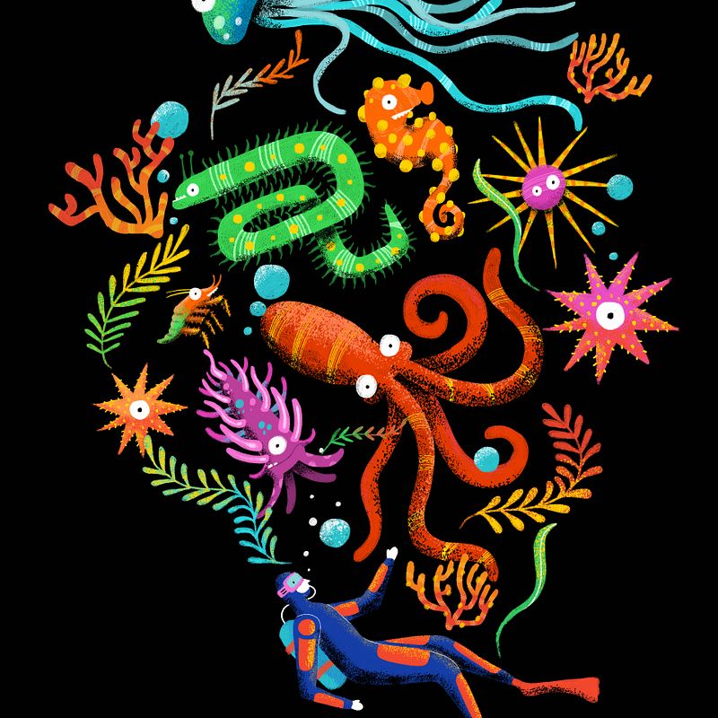 Ilustración flat  - SEA un recuerdo del oceano. 