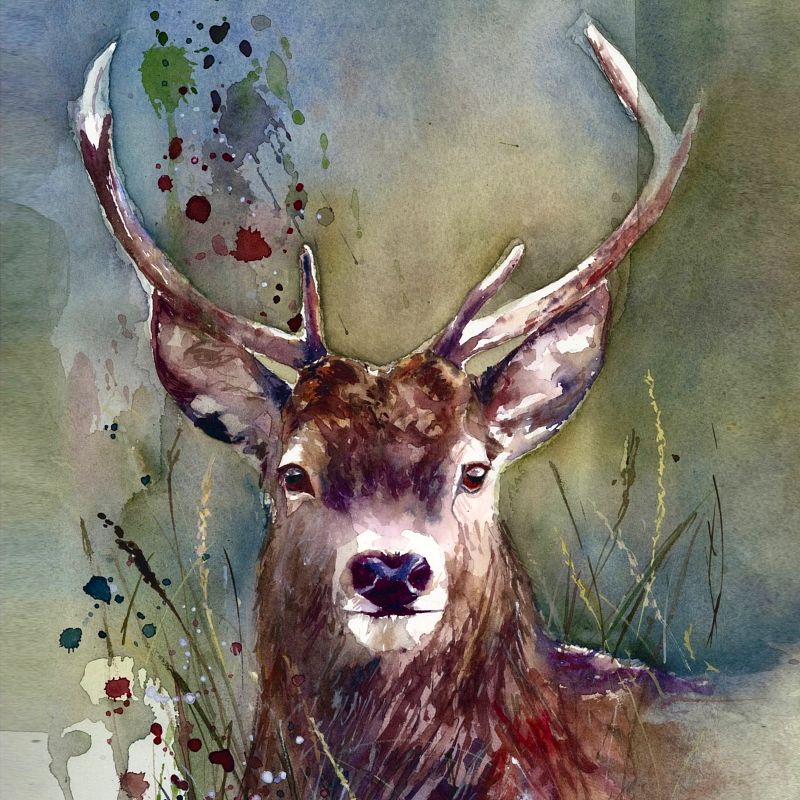 Using Procreate to help design a watercolour background 