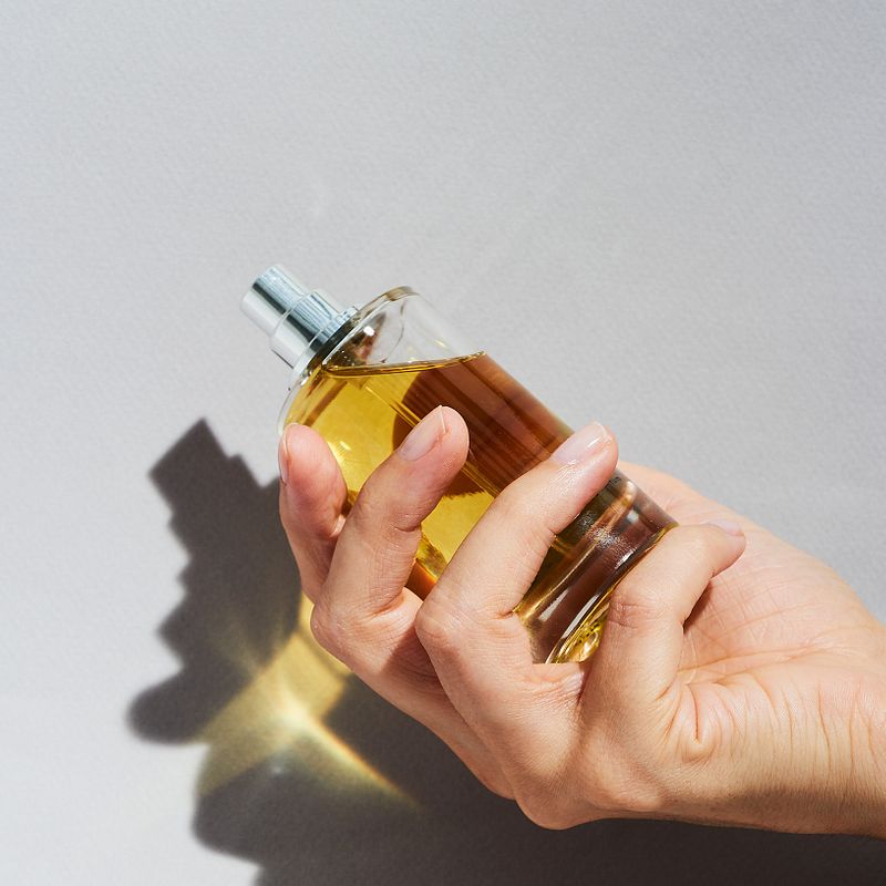 Abel vita odor