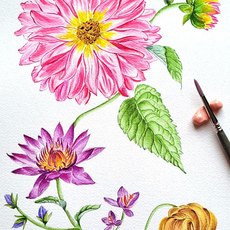 "Dahlia, deseo de jardines". Mi proyecto del curso: Acuarela realista para composiciones botánicas